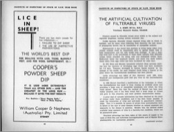 1939 Page 66 67